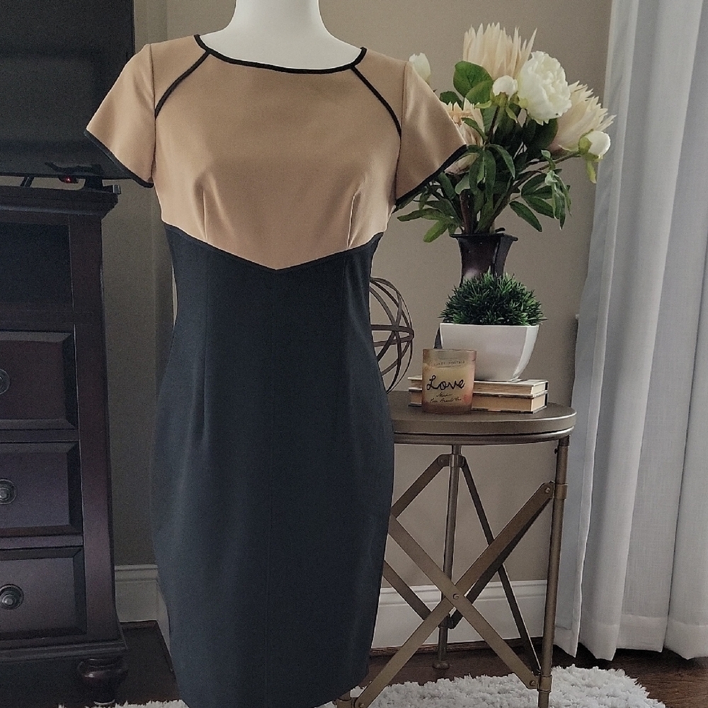 Ann Taylor Elegant Black and Tan Dress